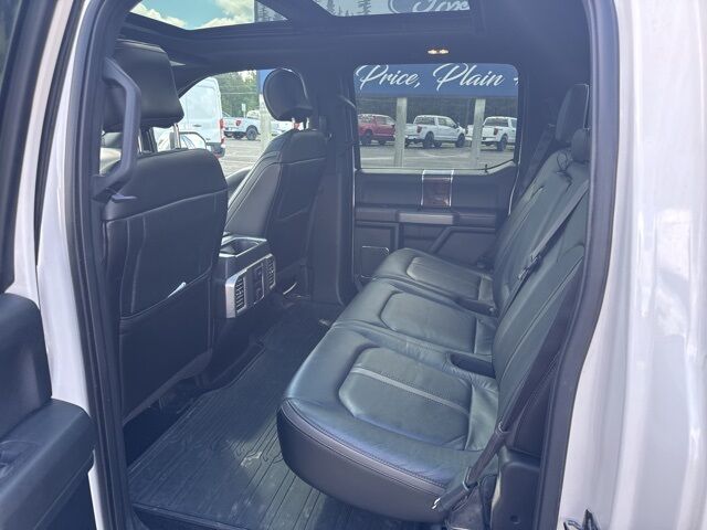 2015 Ford F-150 Platinum Pine River MN