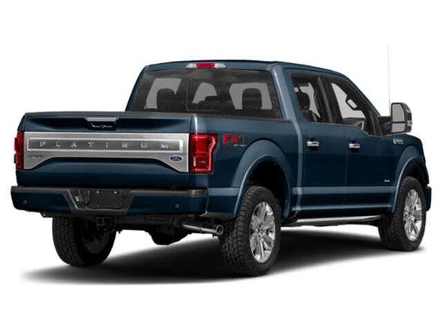 2015 Ford F-150 Platinum Winder GA