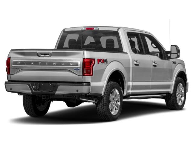 2015 Ford F-150 Platinum Winder GA