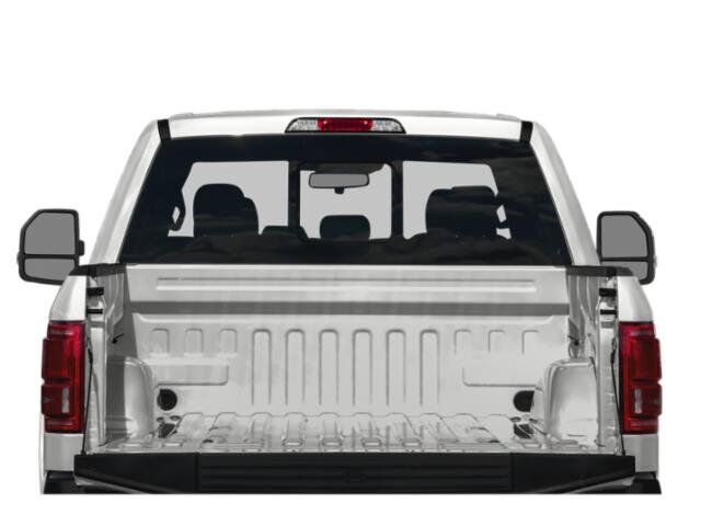2015 Ford F-150 Platinum Winder GA