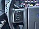 2015 Ford F-350SD Platinum Milwaukee WI