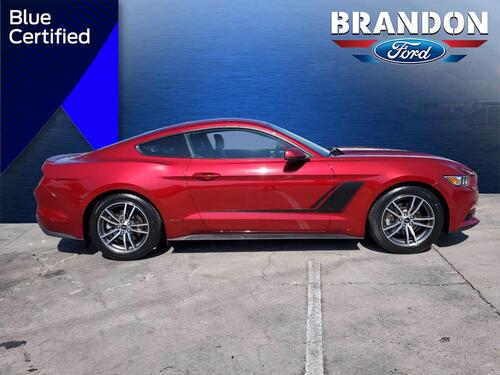 2015 Ford Mustang Tampa FL 2015 Ford Mustang Tampa FL