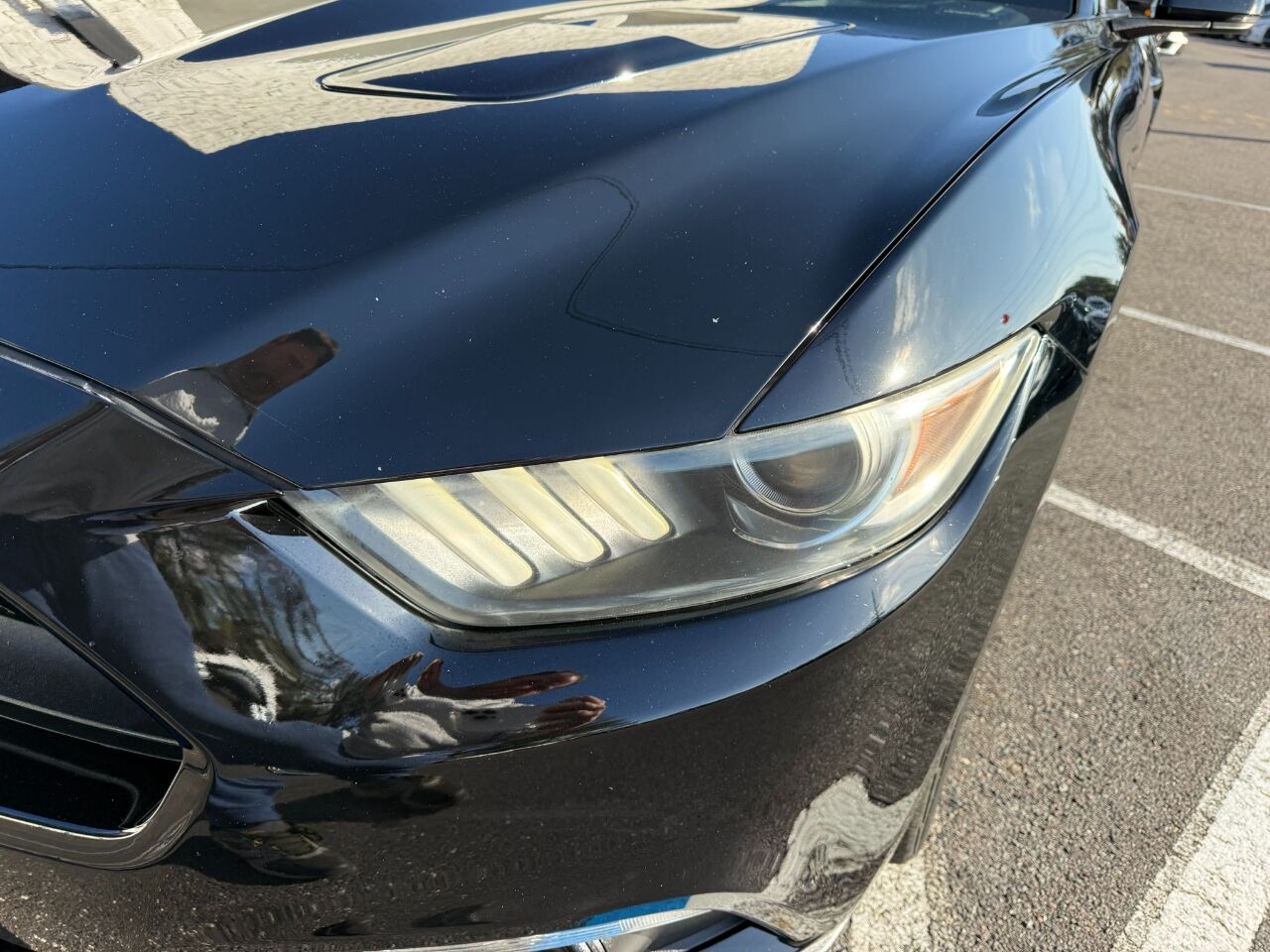 2015 Ford Mustang 2dr Fastback GT Premium Jacksonville FL