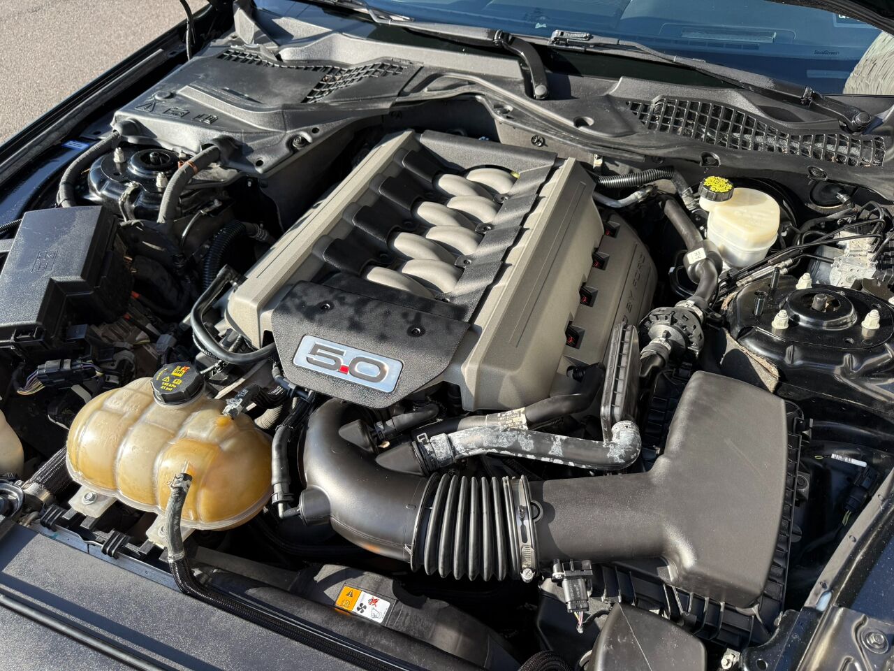 2015 Ford Mustang 2dr Fastback GT Premium Jacksonville FL