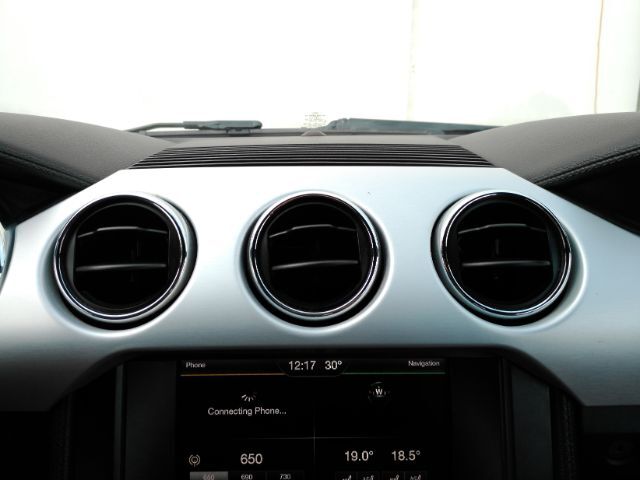 2015 Ford Mustang EcoBoost Premium Plano TX