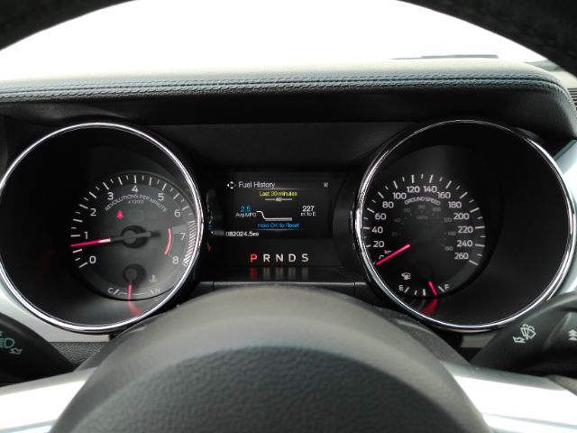 2015 Ford Mustang EcoBoost Premium Plano TX