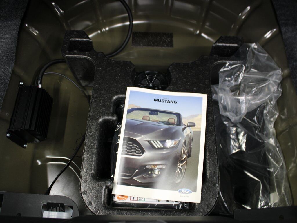 2015 Ford Mustang GT Premium RWD Fond du Lac WI