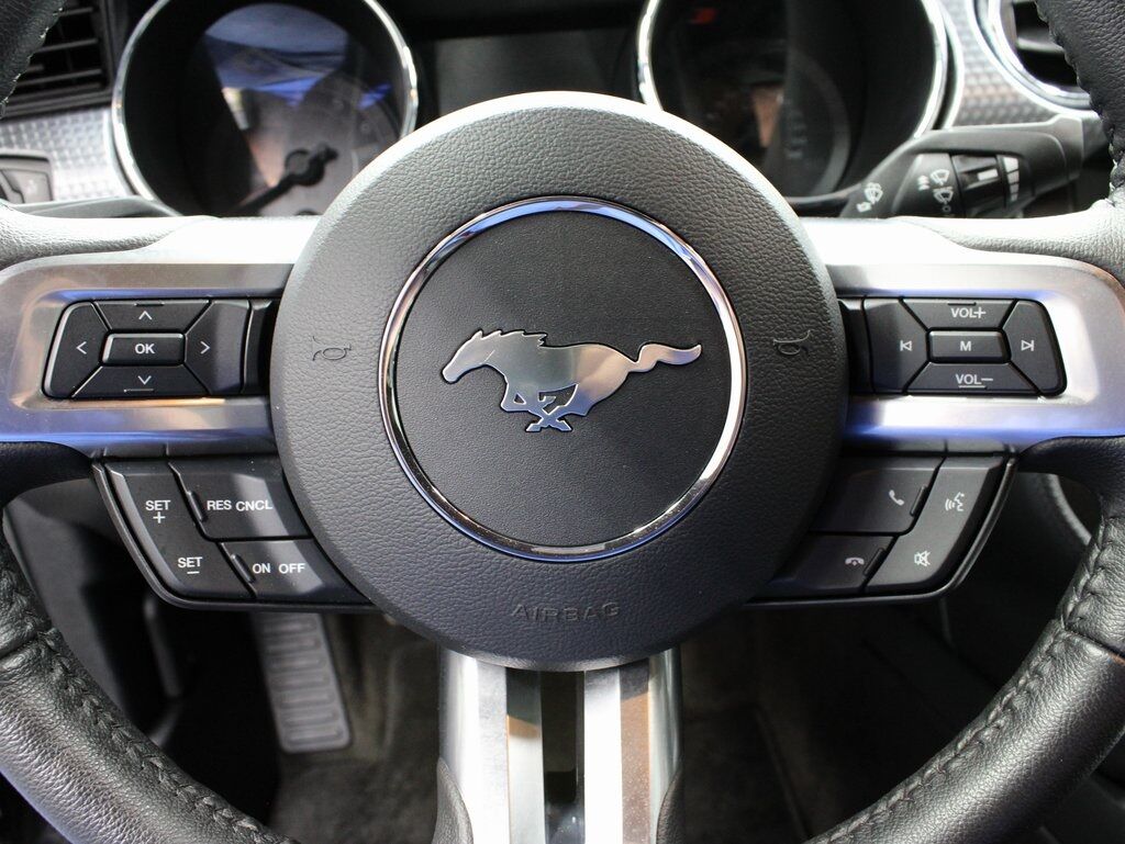 2015 Ford Mustang GT Premium RWD Fond du Lac WI