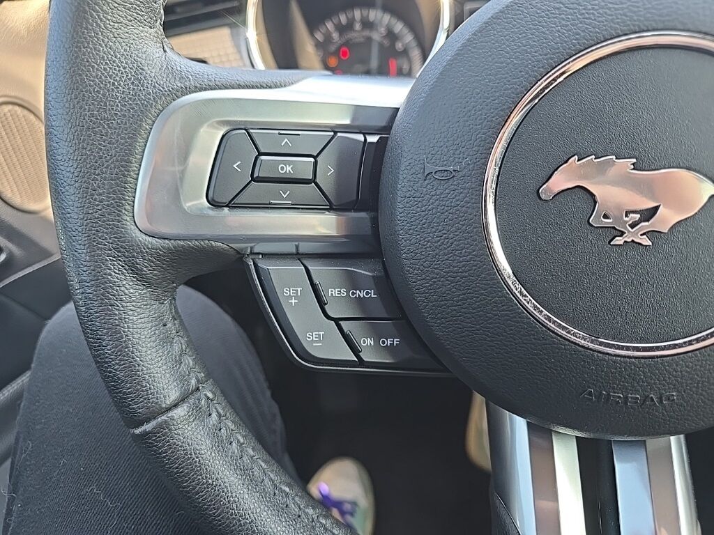 2015 Ford Mustang GT Premium RWD Fond du Lac WI