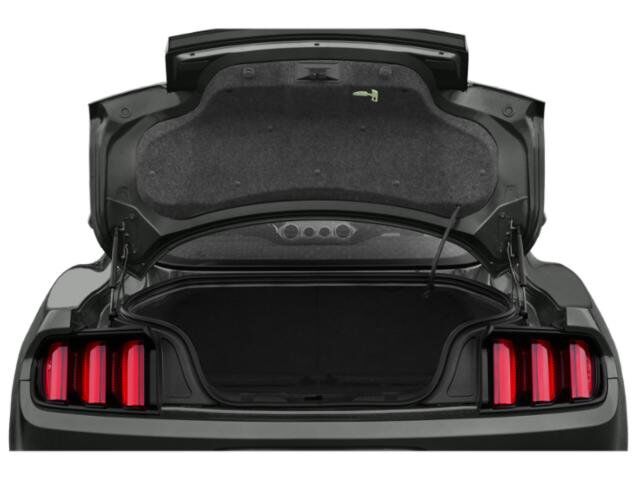 2015 Ford Mustang GT Premium Winder GA