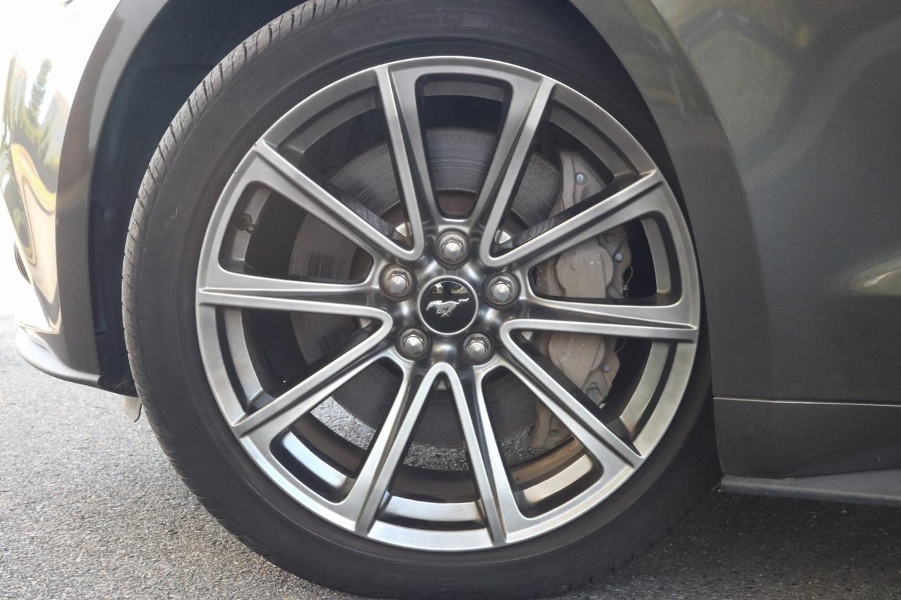 2015 Ford Mustang GT Premium Fredericksburg VA