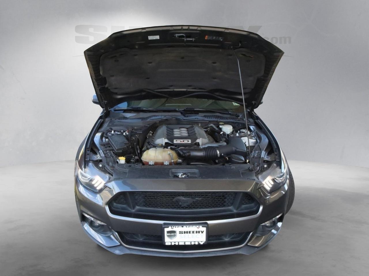 2015 Ford Mustang GT Premium Fredericksburg VA