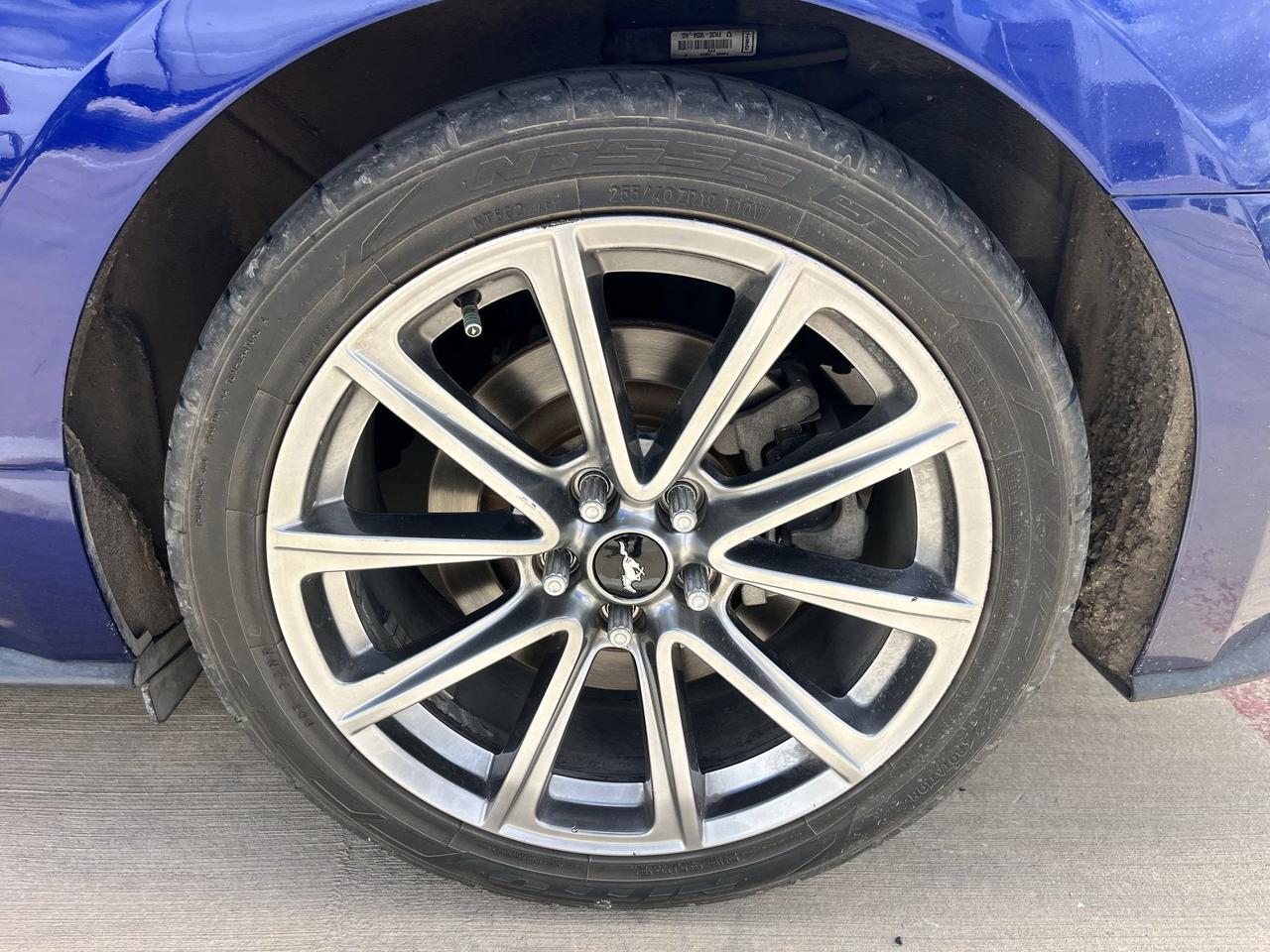 2015 Ford Mustang GT Castroville TX
