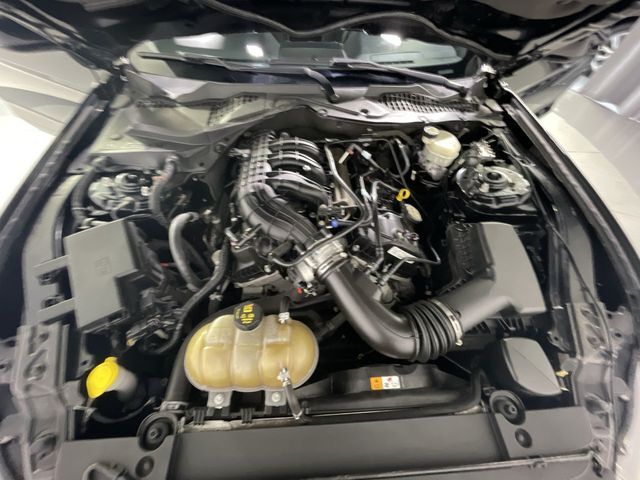 2015 Ford Mustang V6 Columbia SC