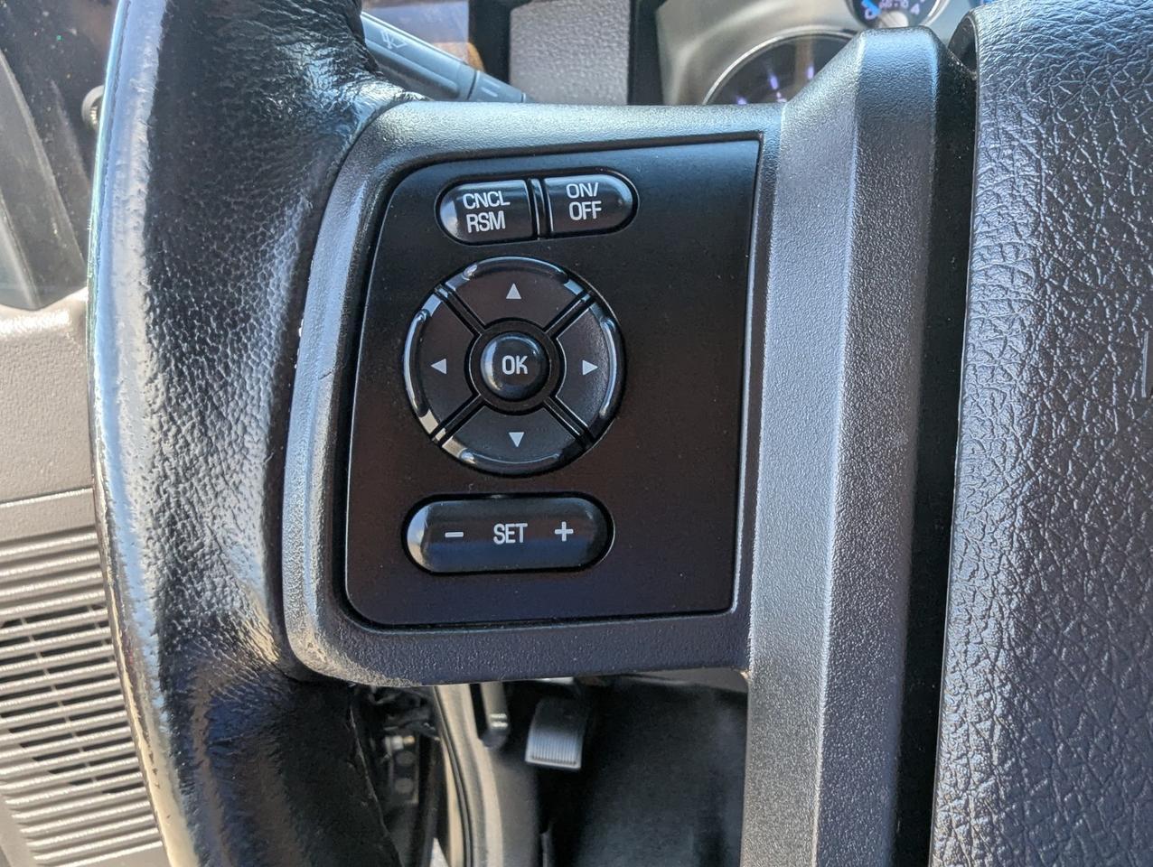 2015 Ford Super Duty F-250 SRW Platinum Grand Junction CO