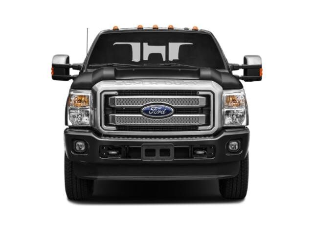 2015 Ford Super Duty F-250 SRW Platinum Winder GA