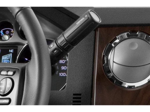 2015 Ford Super Duty F-250 SRW Platinum Winder GA