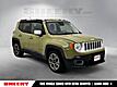 2015 Jeep Renegade Limited