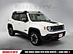 2015 Jeep Renegade Trailhawk