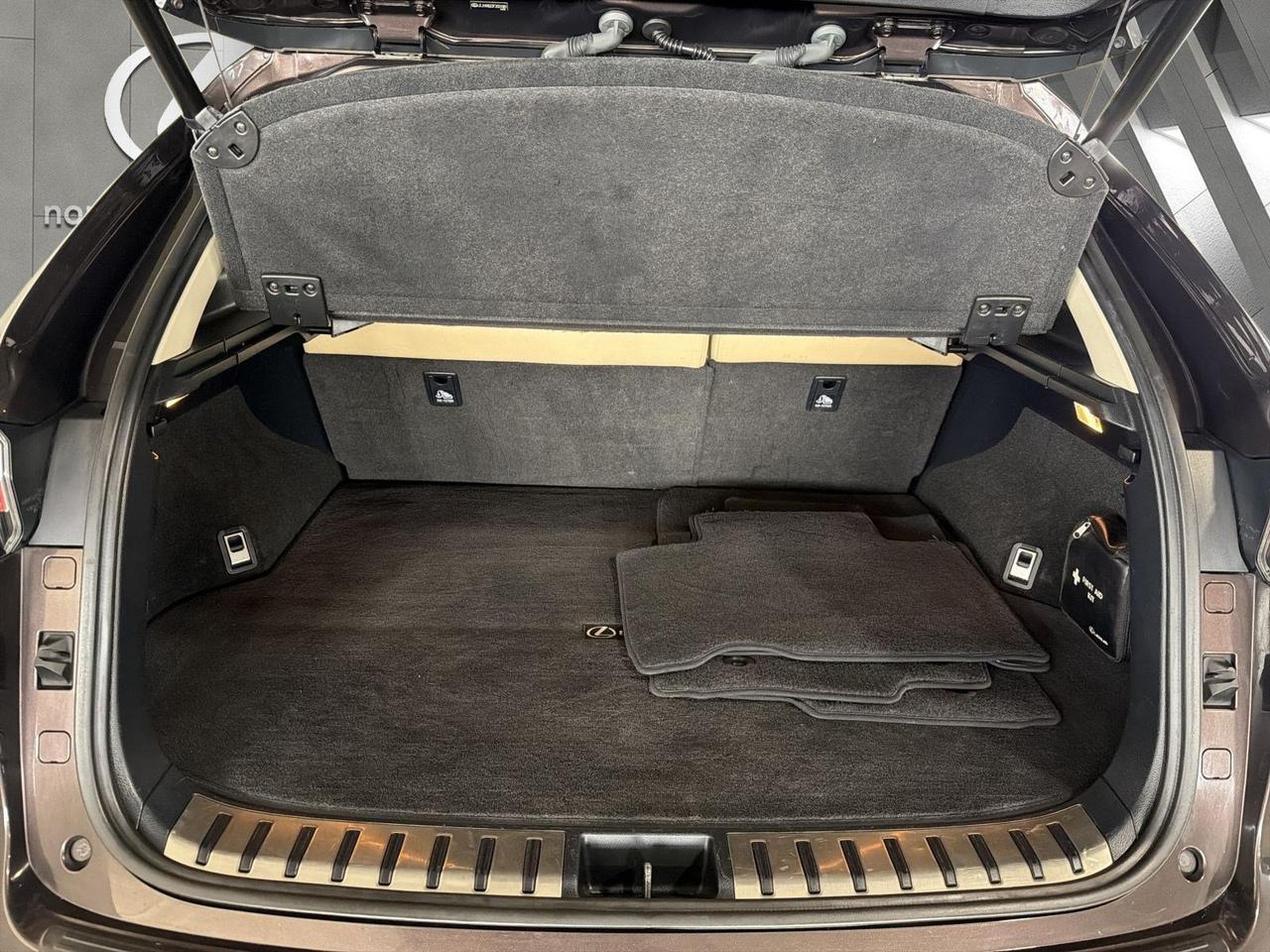 2015 Lexus NX 200t San Antonio TX