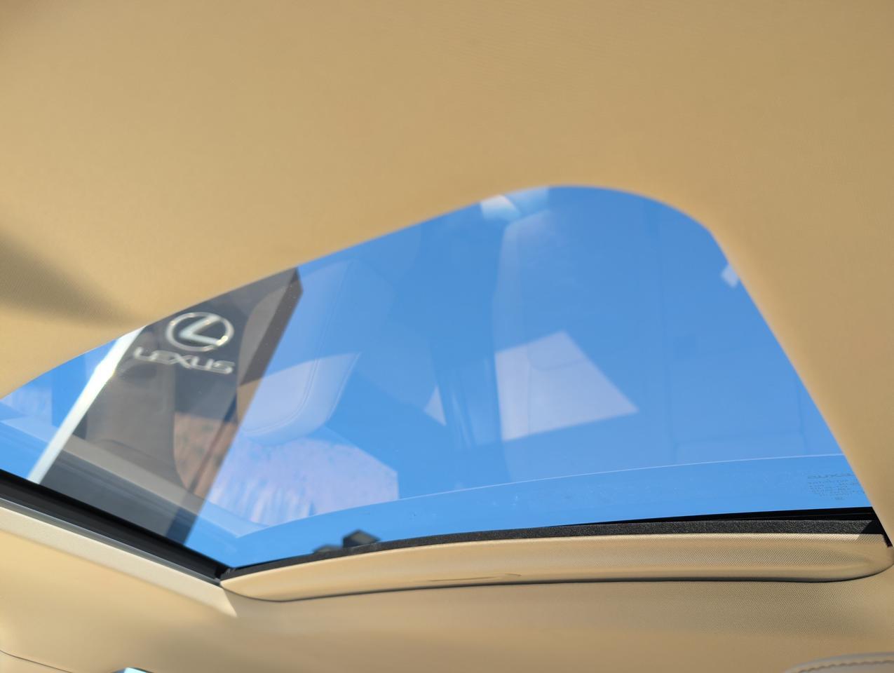 2015 Lexus NX 200t 200t San Juan TX