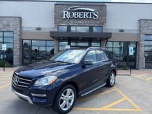 2015_Mercedes-Benz_M-Class_ML 350_ Springfield IL