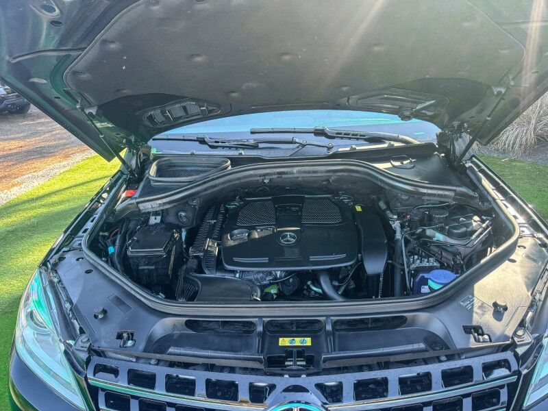 2015 Mercedes-Benz M-Class ML 350 Wilmington NC