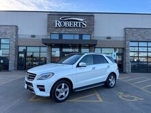 2015_Mercedes-Benz_M-Class_ML 400_ Springfield IL