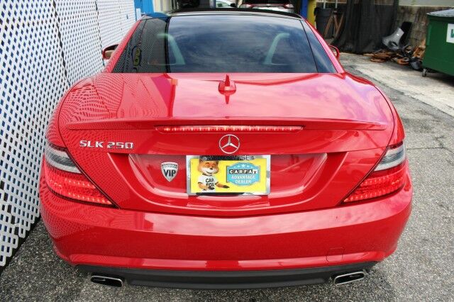 2015 Mercedes-Benz SLK 250 PREMIUM ROADSTER SLK 250 Melbourne FL