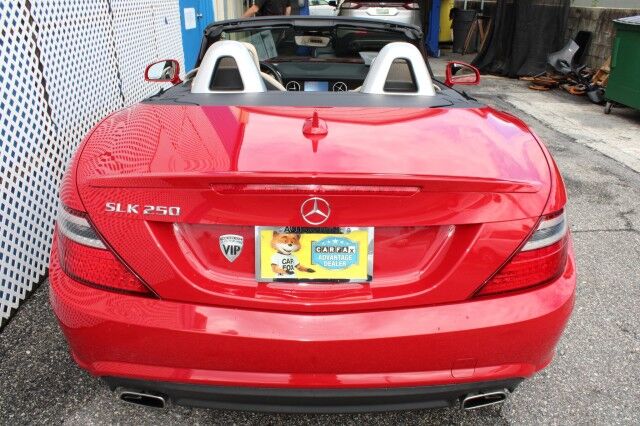 2015 Mercedes-Benz SLK 250 PREMIUM ROADSTER SLK 250 Melbourne FL