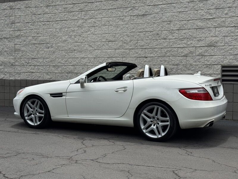 2015 Mercedes-Benz SLK250 SLK 250