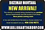 2015 Mercedes-Benz Sprinter 2500 Normal Roof Bozeman MT