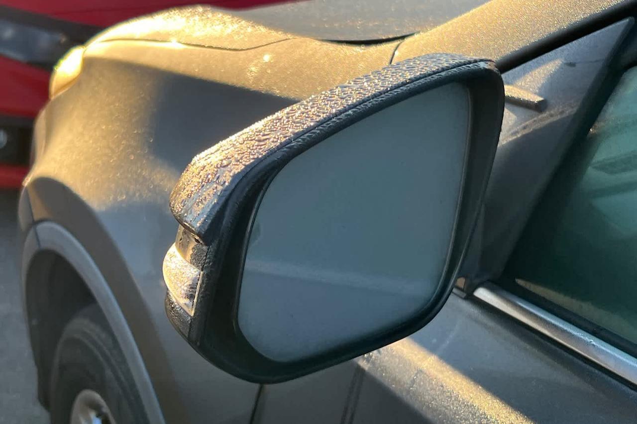 2015 Toyota RAV4 XLE Roseville CA