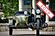 2015 Ural Gear Up Woodland Camouflage Boston MA