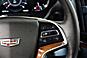 2016 Cadillac Escalade ESV Luxury Collection 4WD 4dr Suv Chicago IL