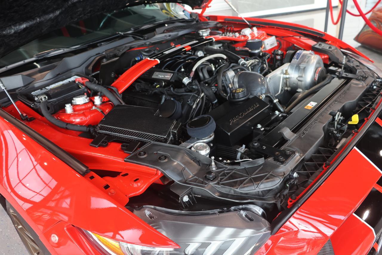 2016 FORD MUSTANG SHELBY GT350 Houston TX