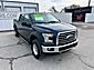2016 Ford F-150 XLT Gainesville TX 2016 Ford F-150 XLT Gainesville TX