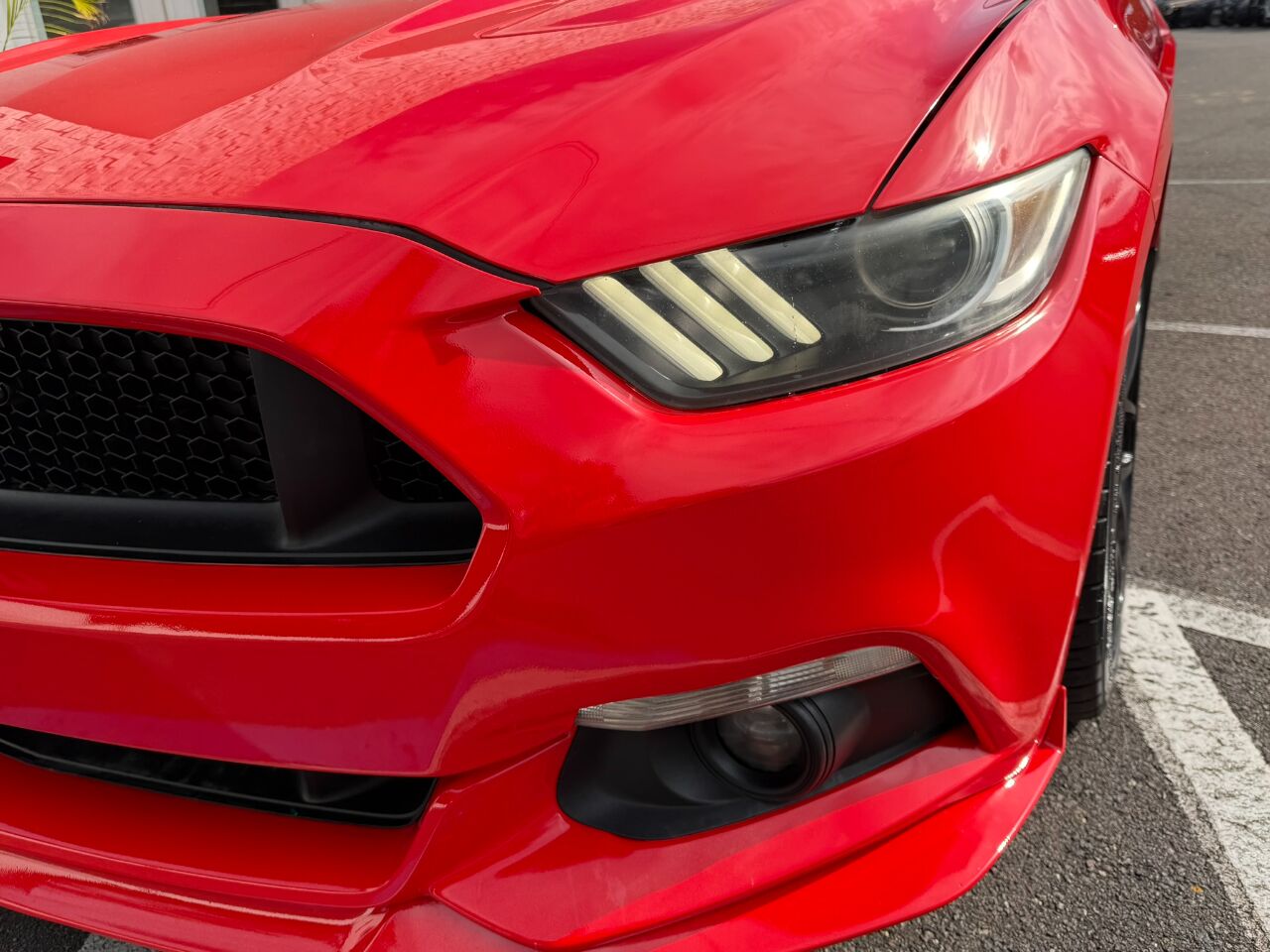 2016 Ford Mustang 2dr Fastback GT Jacksonville FL