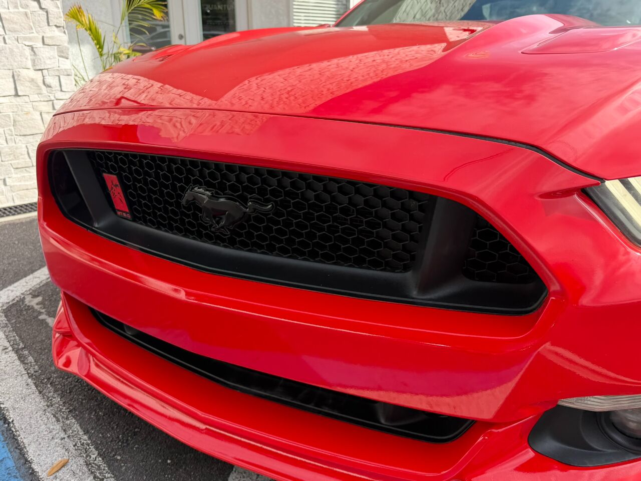 2016 Ford Mustang 2dr Fastback GT Jacksonville FL