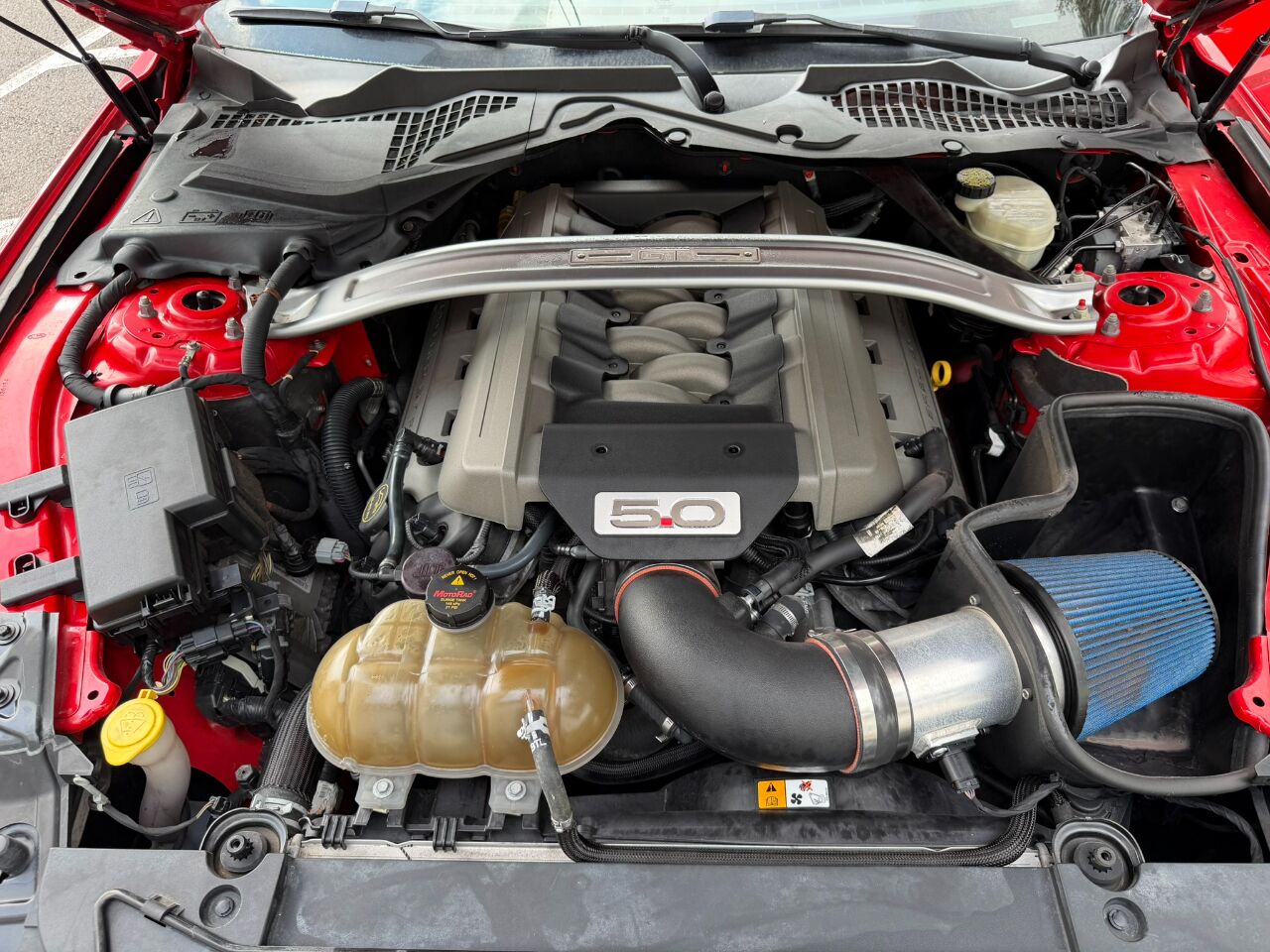 2016 Ford Mustang 2dr Fastback GT Jacksonville FL