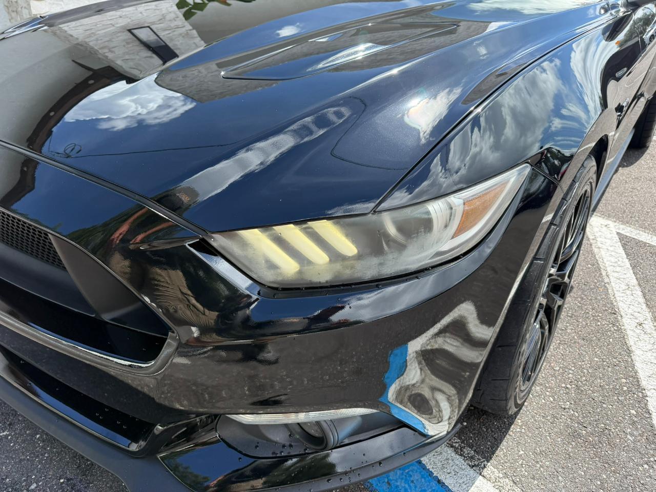 2016 Ford Mustang 2dr Fastback GT Jacksonville FL