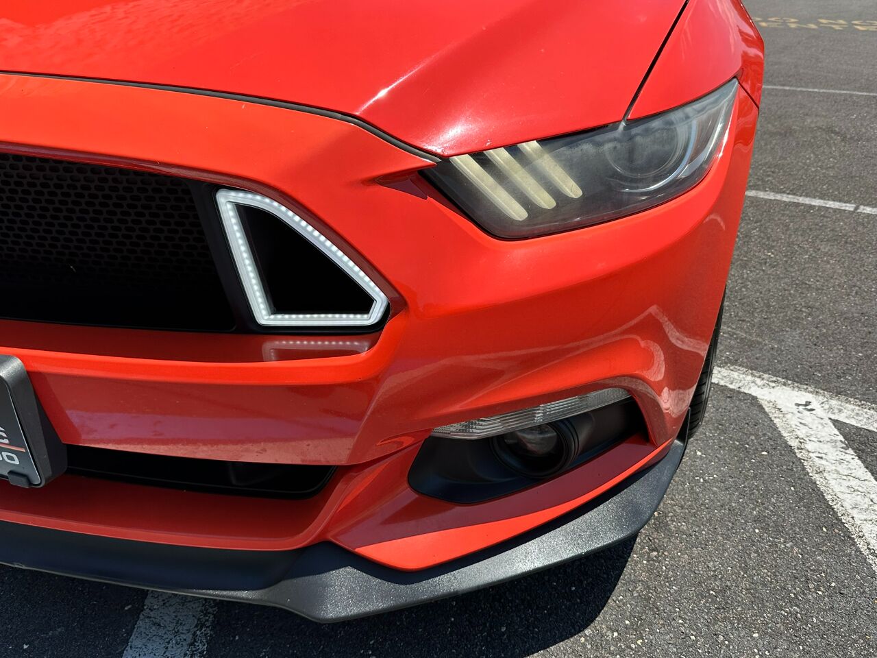2016 Ford Mustang 2dr Fastback GT Jacksonville FL