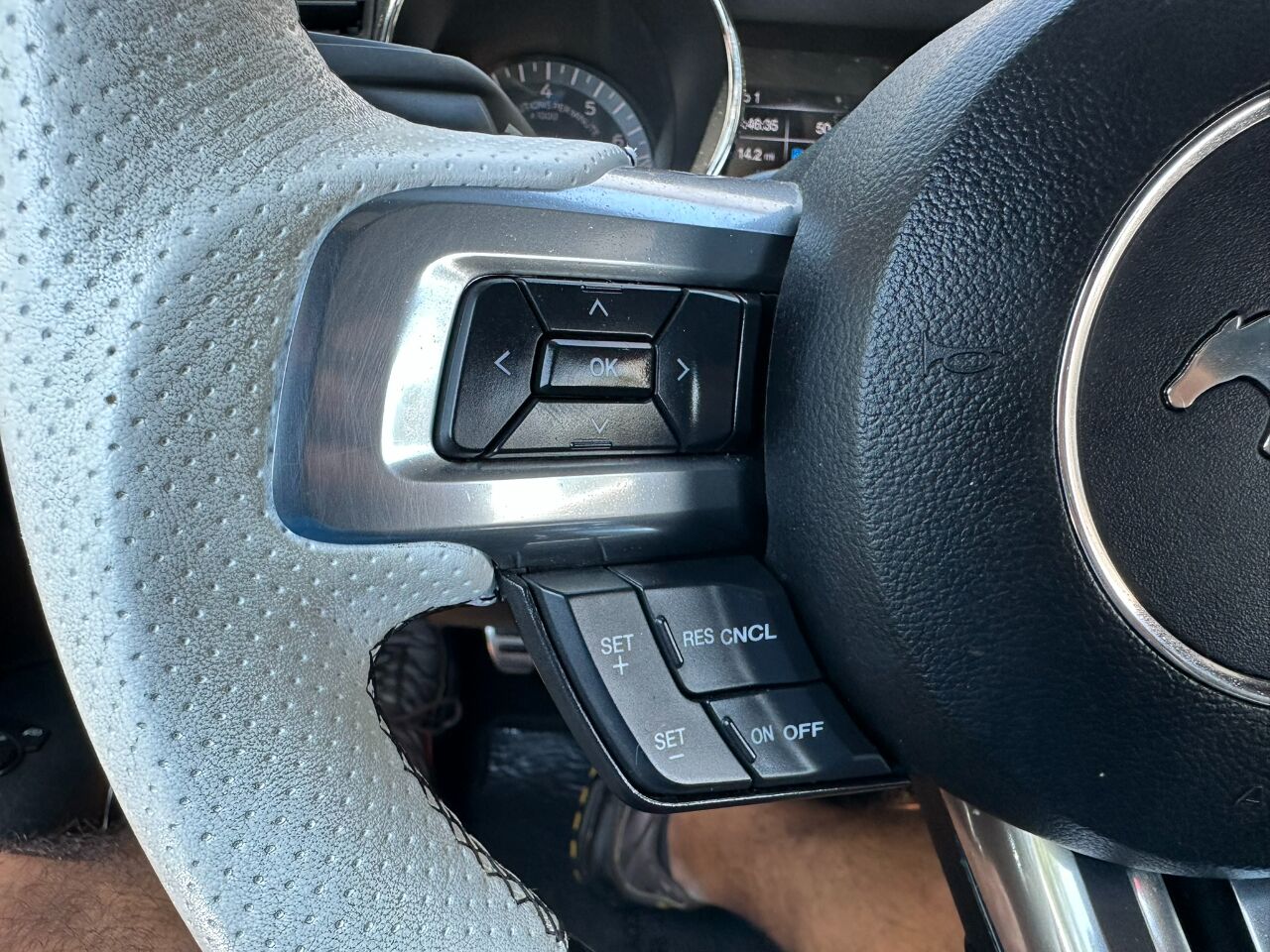 2016 Ford Mustang 2dr Fastback GT Jacksonville FL