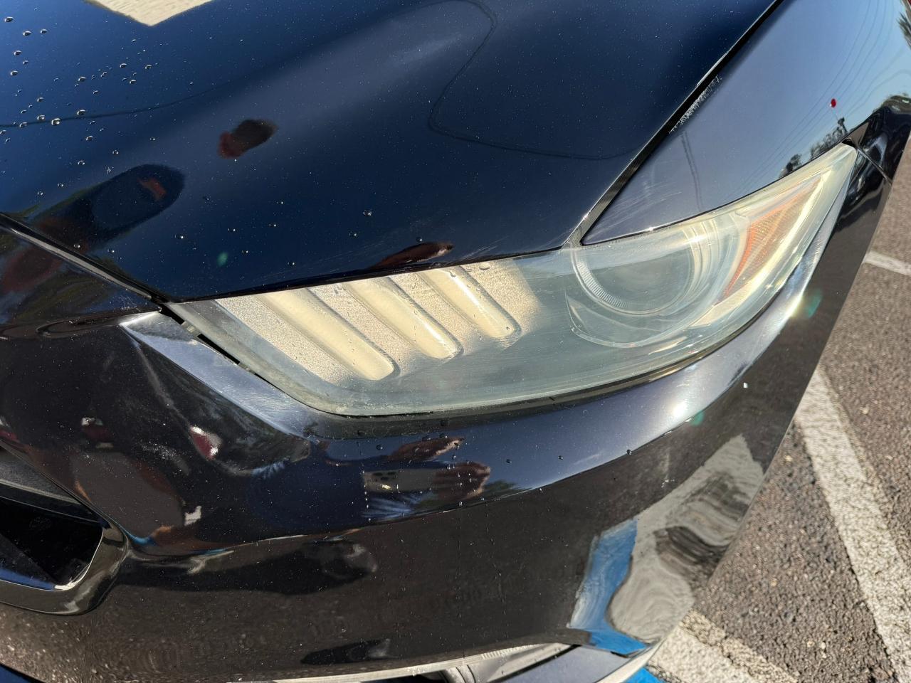 2016 Ford Mustang 2dr Fastback GT Jacksonville FL