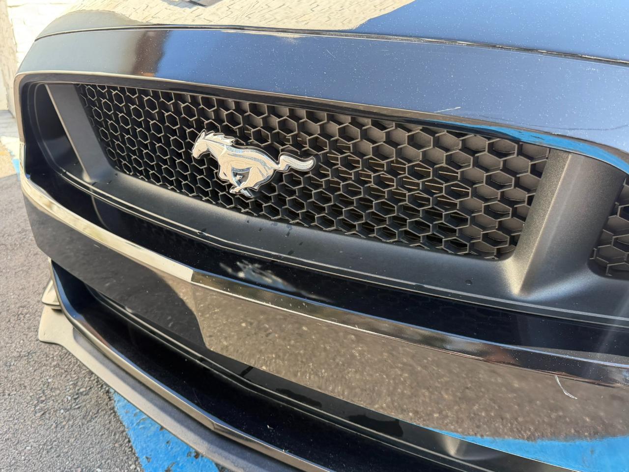 2016 Ford Mustang 2dr Fastback GT Jacksonville FL