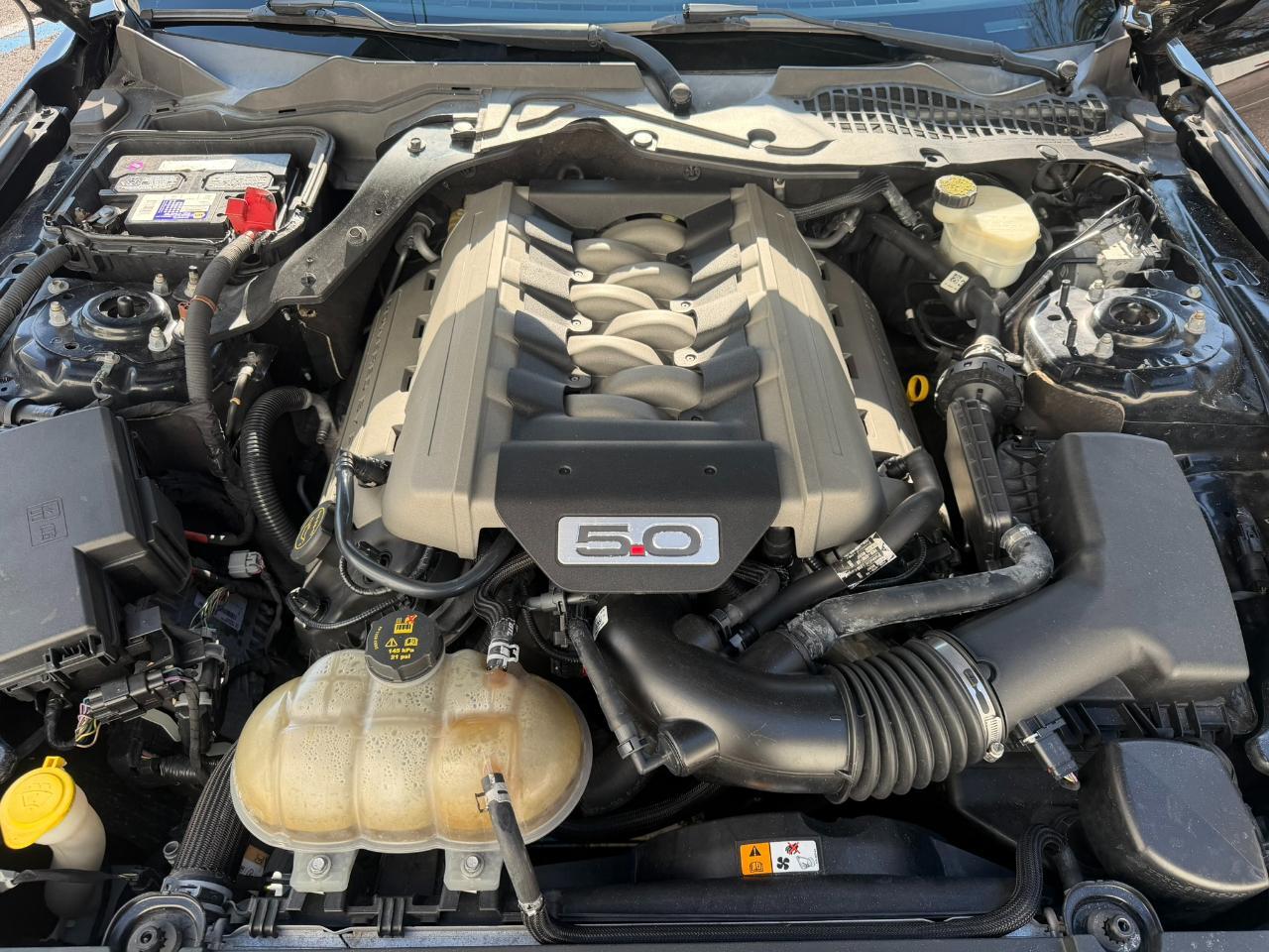 2016 Ford Mustang 2dr Fastback GT Jacksonville FL