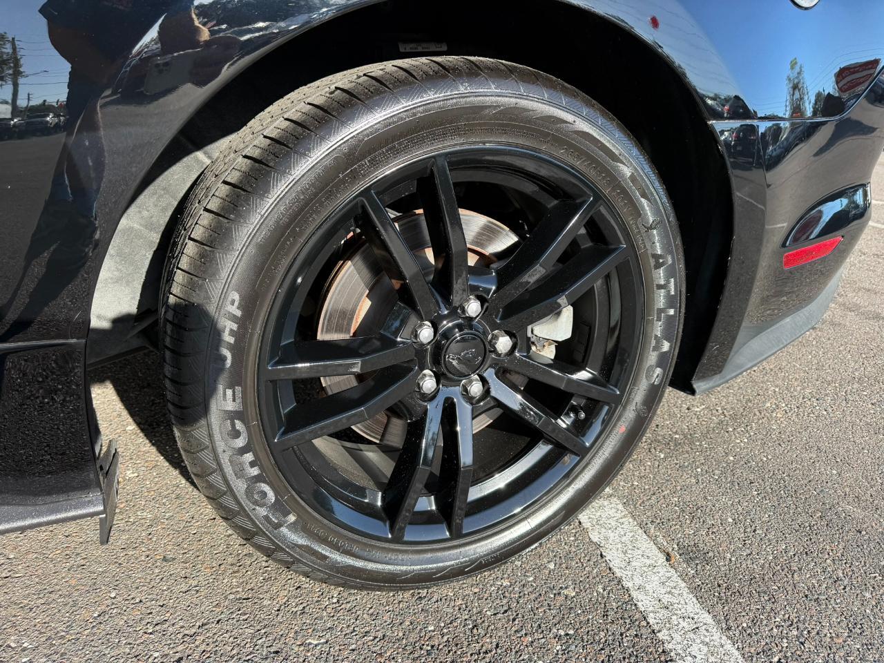 2016 Ford Mustang 2dr Fastback GT Jacksonville FL