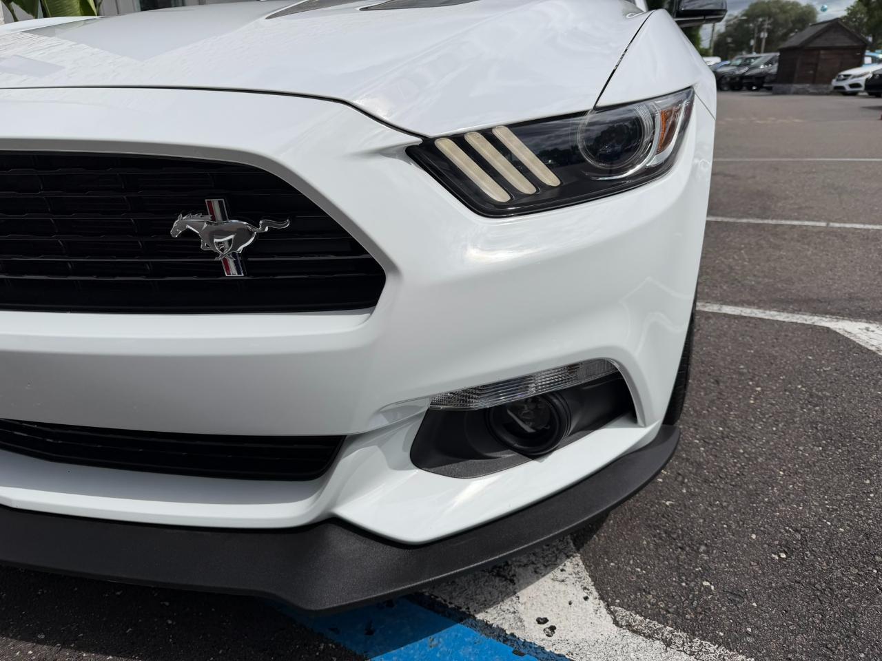 2016 Ford Mustang 2dr Fastback GT Premium Jacksonville FL