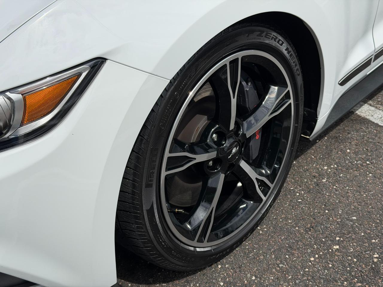 2016 Ford Mustang 2dr Fastback GT Premium Jacksonville FL