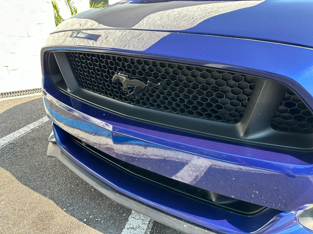 2016 Ford Mustang 2dr Fastback V6 Jacksonville FL
